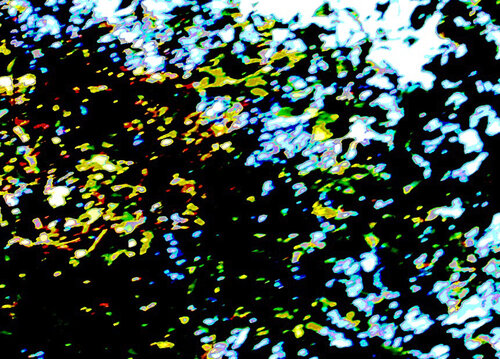 Springendes Licht by Kornelia Boje, Photography for Sale on Singulart