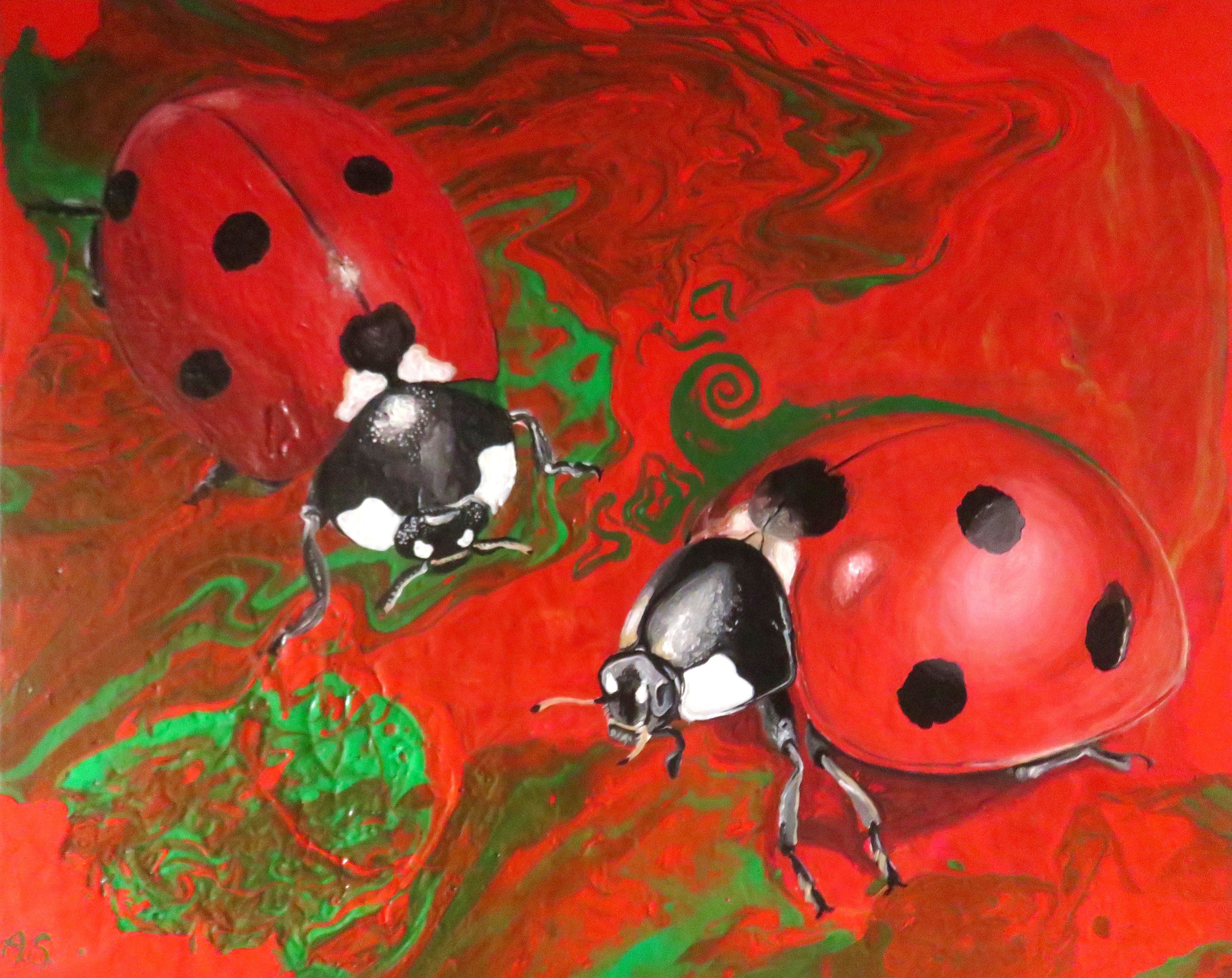 Argomento Coccinella Dipinti