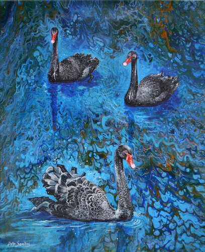 Trauerschwäne – Ruhe am Wasser by Anja Semling, Painting for Sale on Singulart