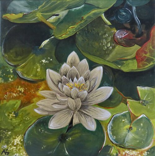 Habitat: Seerose by Anja Semling, Painting for Sale on Singulart
