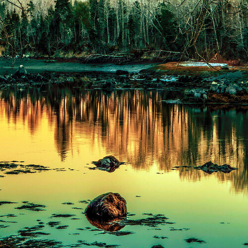 IN BETWEEN THE ROCKS di susan levin, Digitale in vendita su Singulart