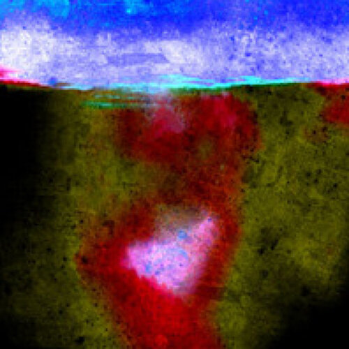 HEAT WAVE von susan levin, Digital kaufen auf Singulart