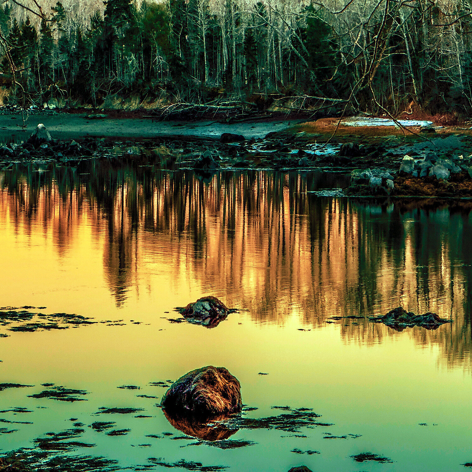 IN BETWEEN THE ROCKS susan levin