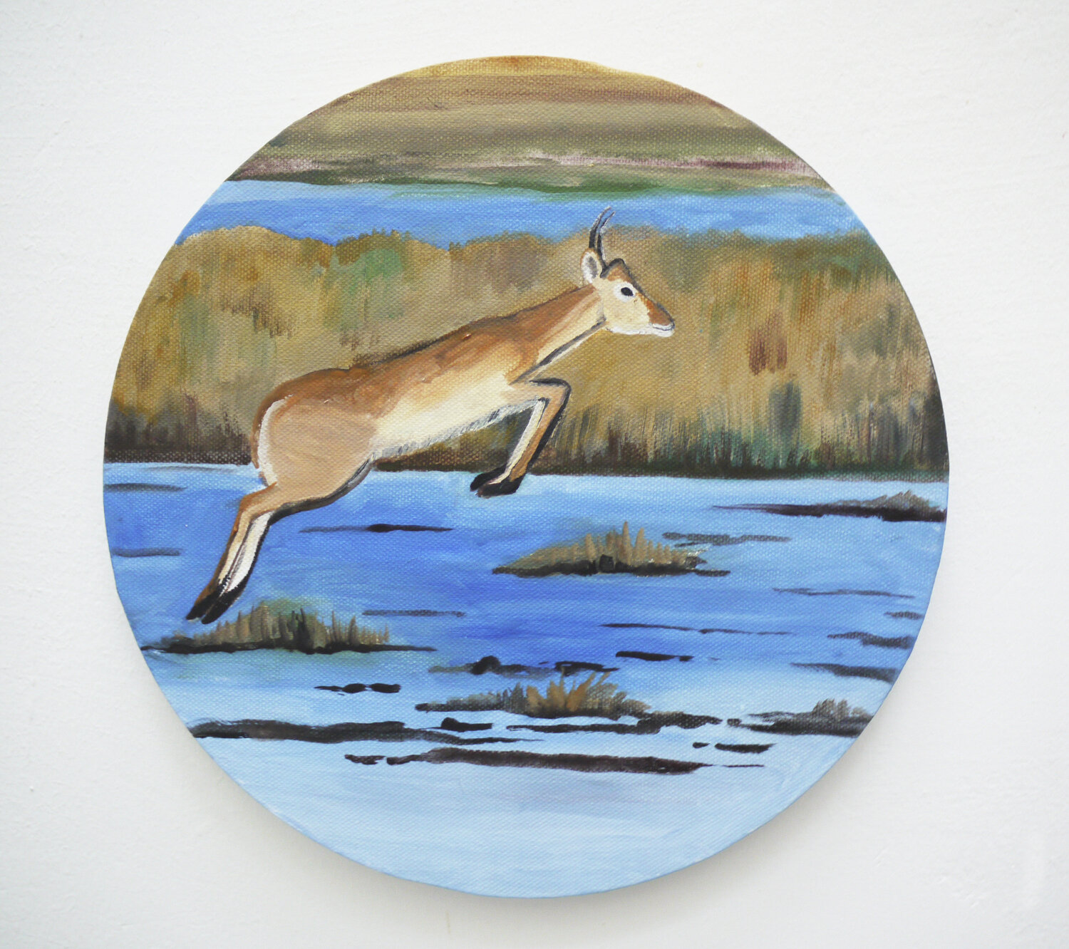 Antilope Ellen Semen