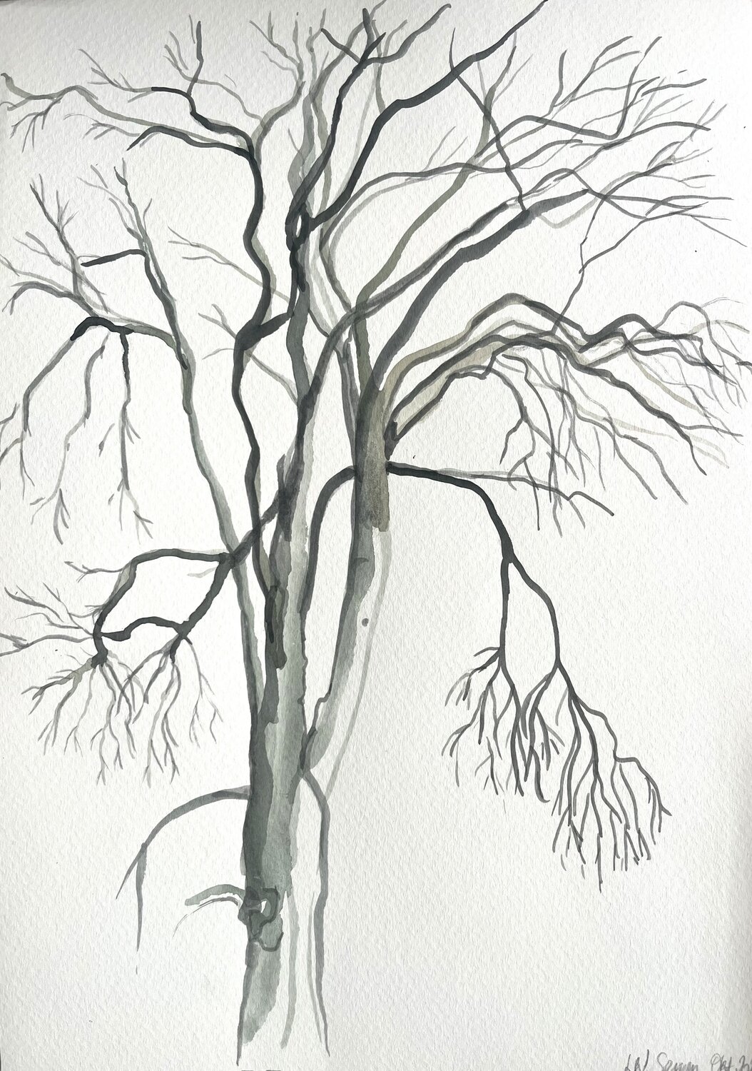 Baum im Herbst Ellen Semen