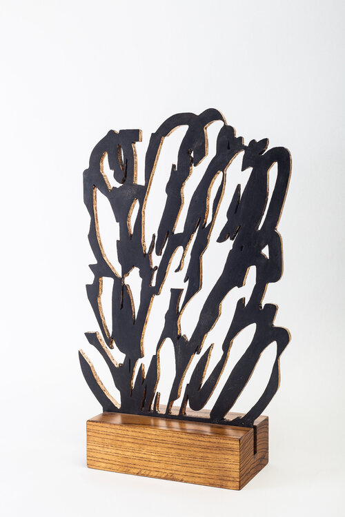 Alberi I silvana chiozza