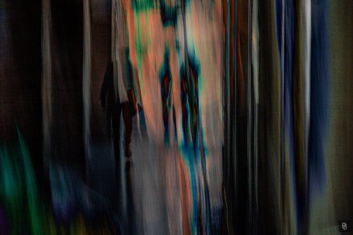 10 — Hidden Presence (udiamp24) de paolo aizza, Fotografía a la venta en Singulart
