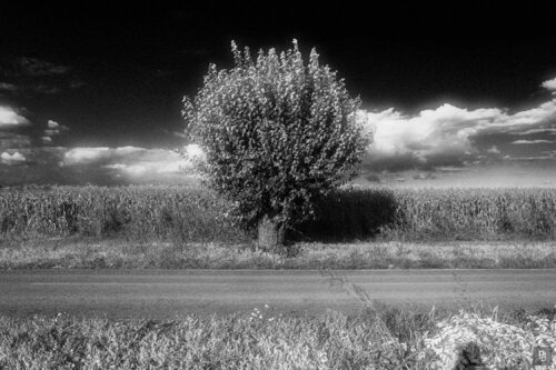 3 — Solitary Horizon van paolo aizza, Digitaal te koop op Singulart