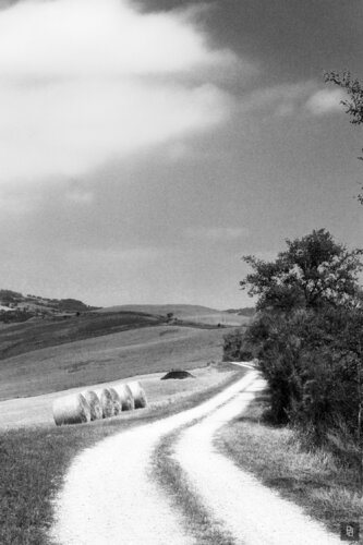 8 — Curved Path de paolo aizza, Digital a la venta en Singulart