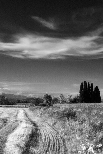11 — FVG Light de paolo aizza, Digital a la venta en Singulart