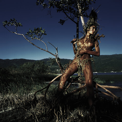 Woman Tree von Marcus Luconi, Fotografie kaufen auf Singulart