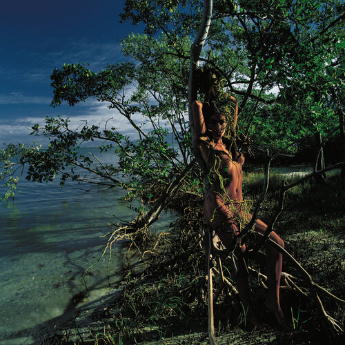 Forest And Sea von Marcus Luconi, Fotografie kaufen auf Singulart