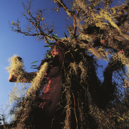 Camouflaged van Marcus Luconi, Fotografie te koop op Singulart