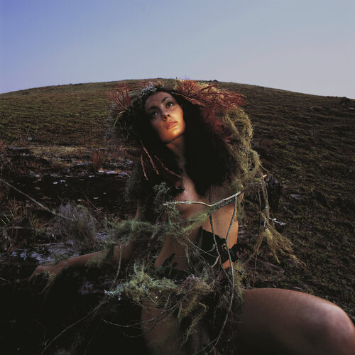 Woman Whith Foliage In The Field Marcus Luconi
