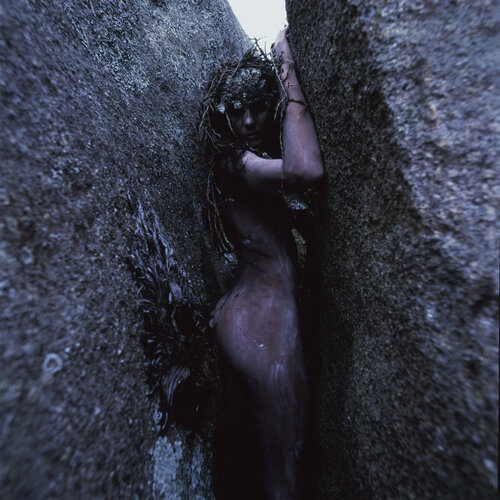 Metamorphosis 1 van Marcus Luconi, Fotografie te koop op Singulart