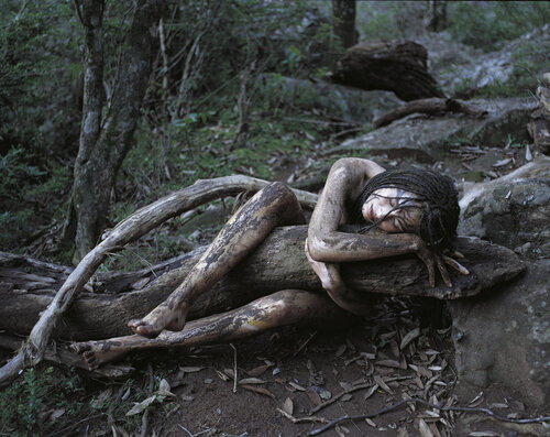 Symbiosis, Elemental van Marcus Luconi, Fotografie te koop op Singulart