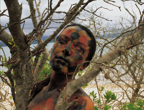 Camouflaged Snake van Marcus Luconi, Fotografie te koop op Singulart