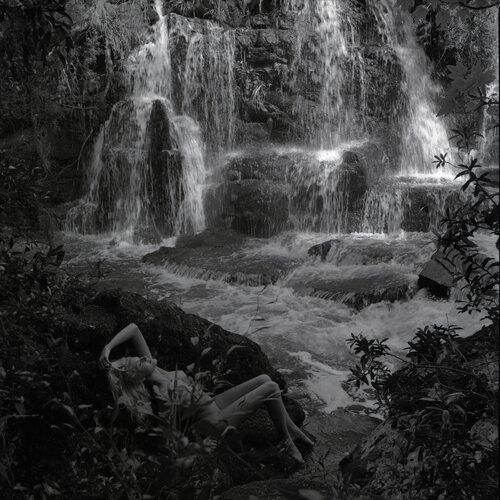 Nymph of the Waters and the Forest Marcus Luconi