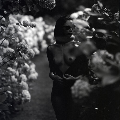 Whisper Of Skin by Marcus Luconi, Photography for Sale on Singulart