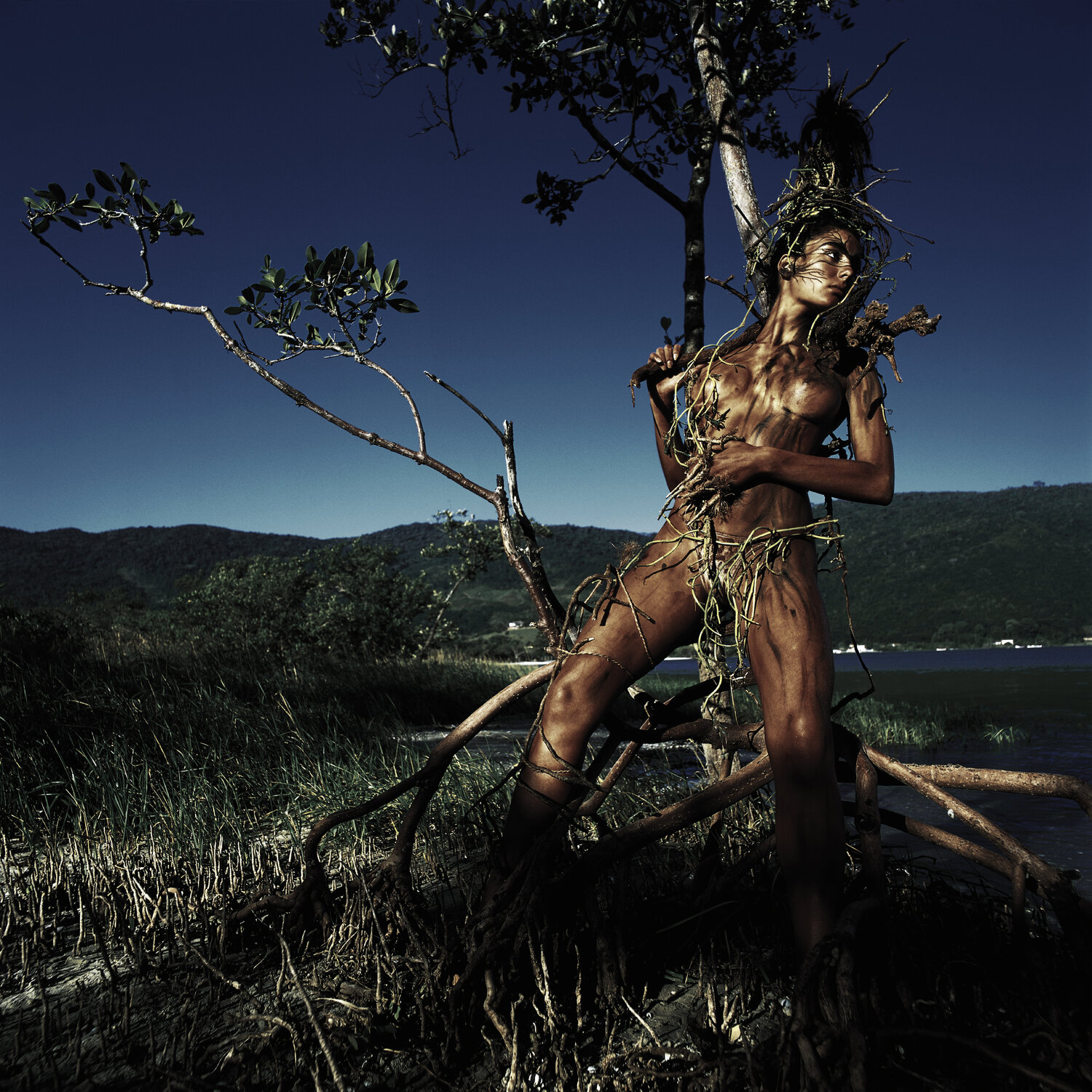 Woman Tree Marcus Luconi