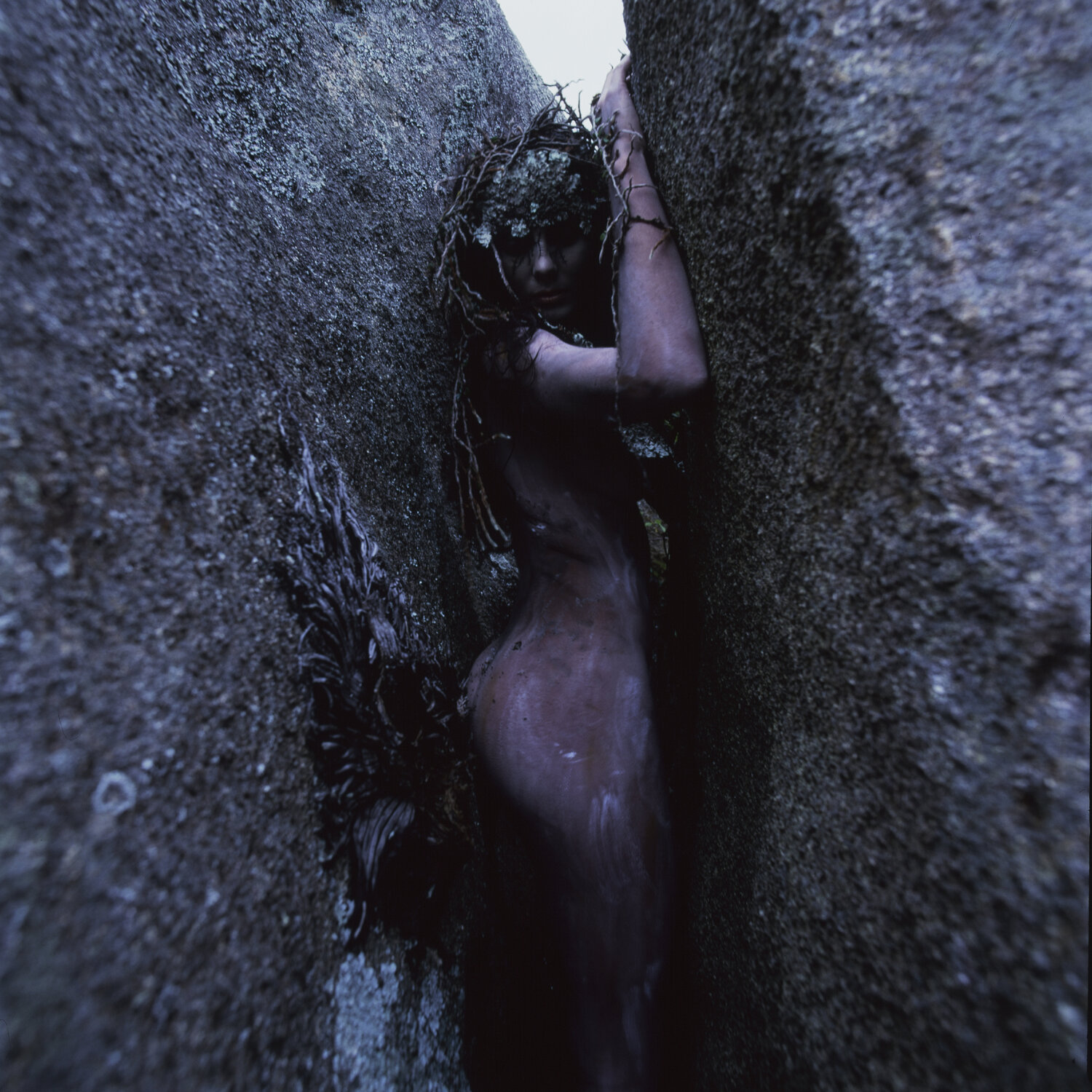 Metamorphosis 1 Marcus Luconi