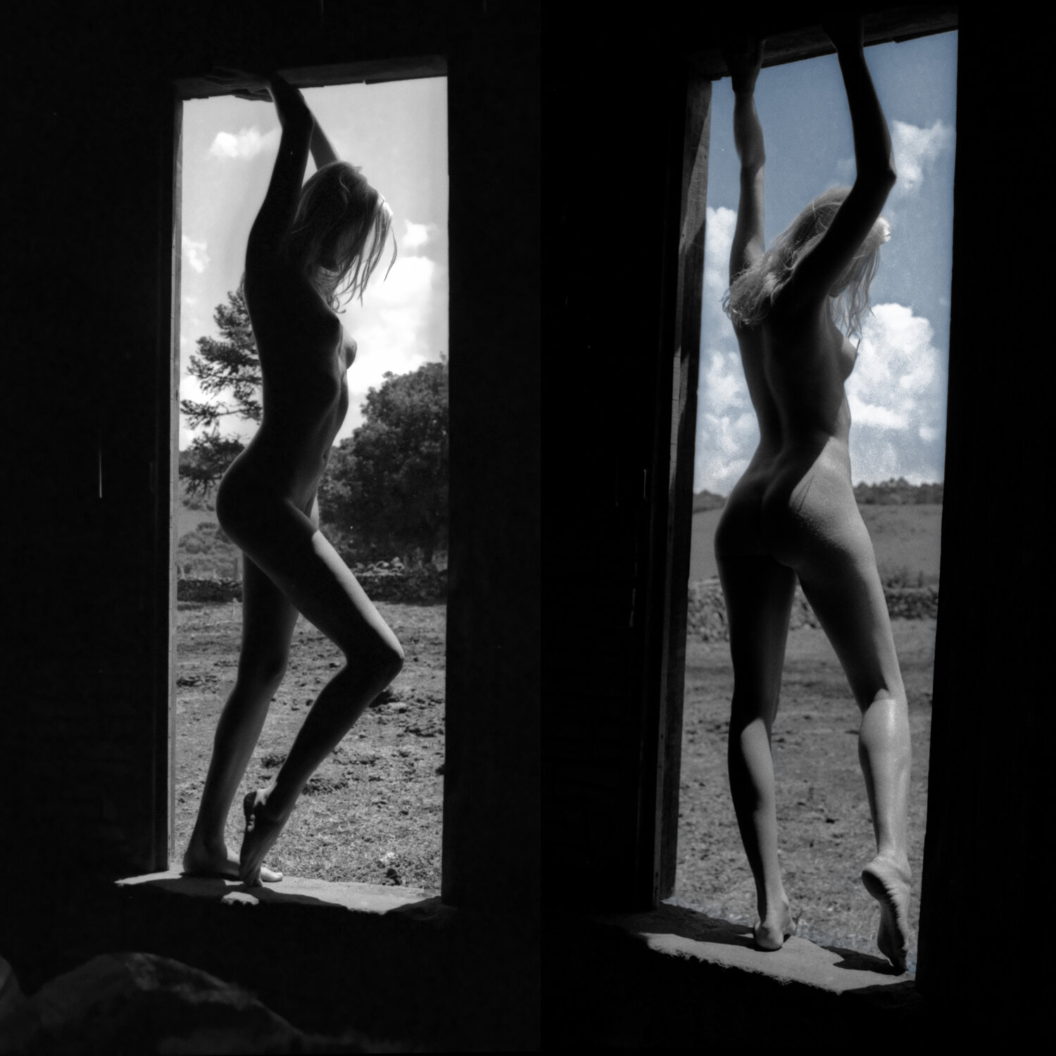 Country Barn Door (double) Marcus Luconi