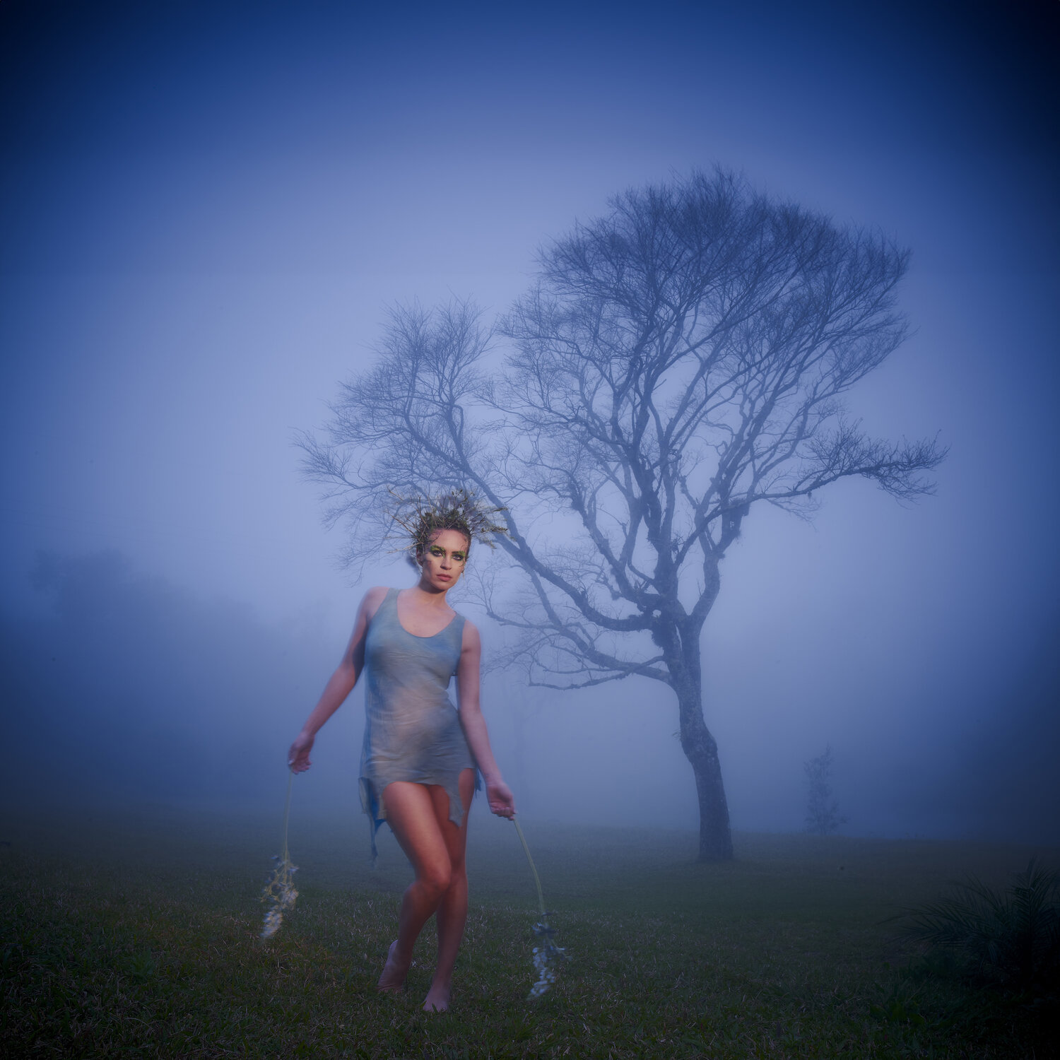 In The Night Fog Marcus Luconi