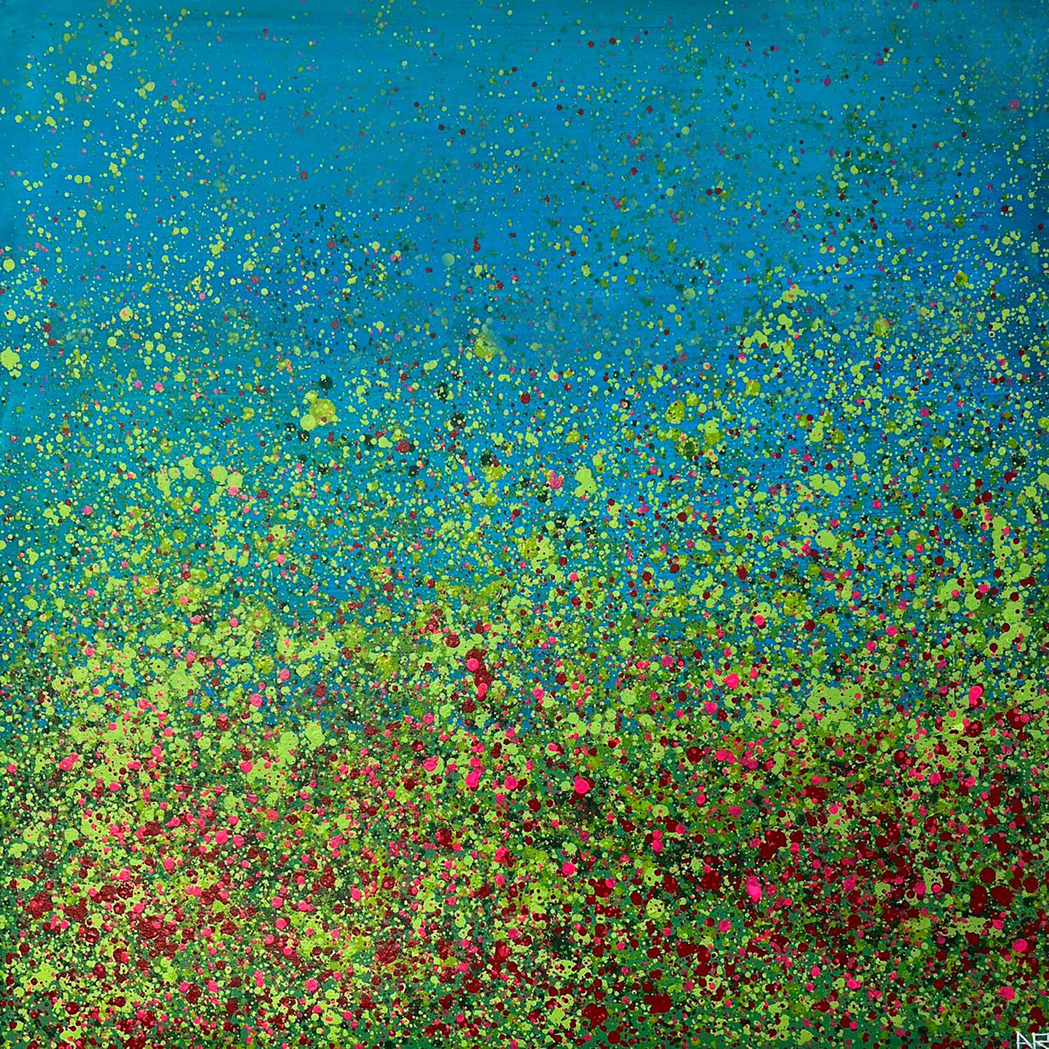 Spring 03 Amarindra Rana