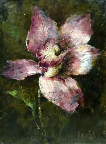 Pink Orchid van Helen Illichova, Schilderij te koop op Singulart