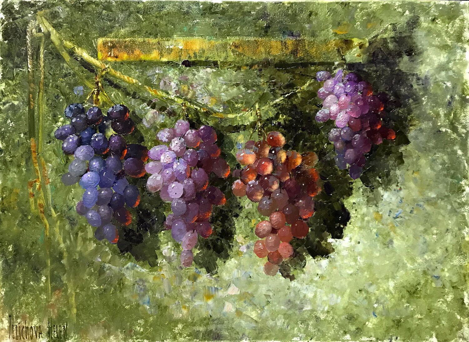 Future Wine Helen Illichova