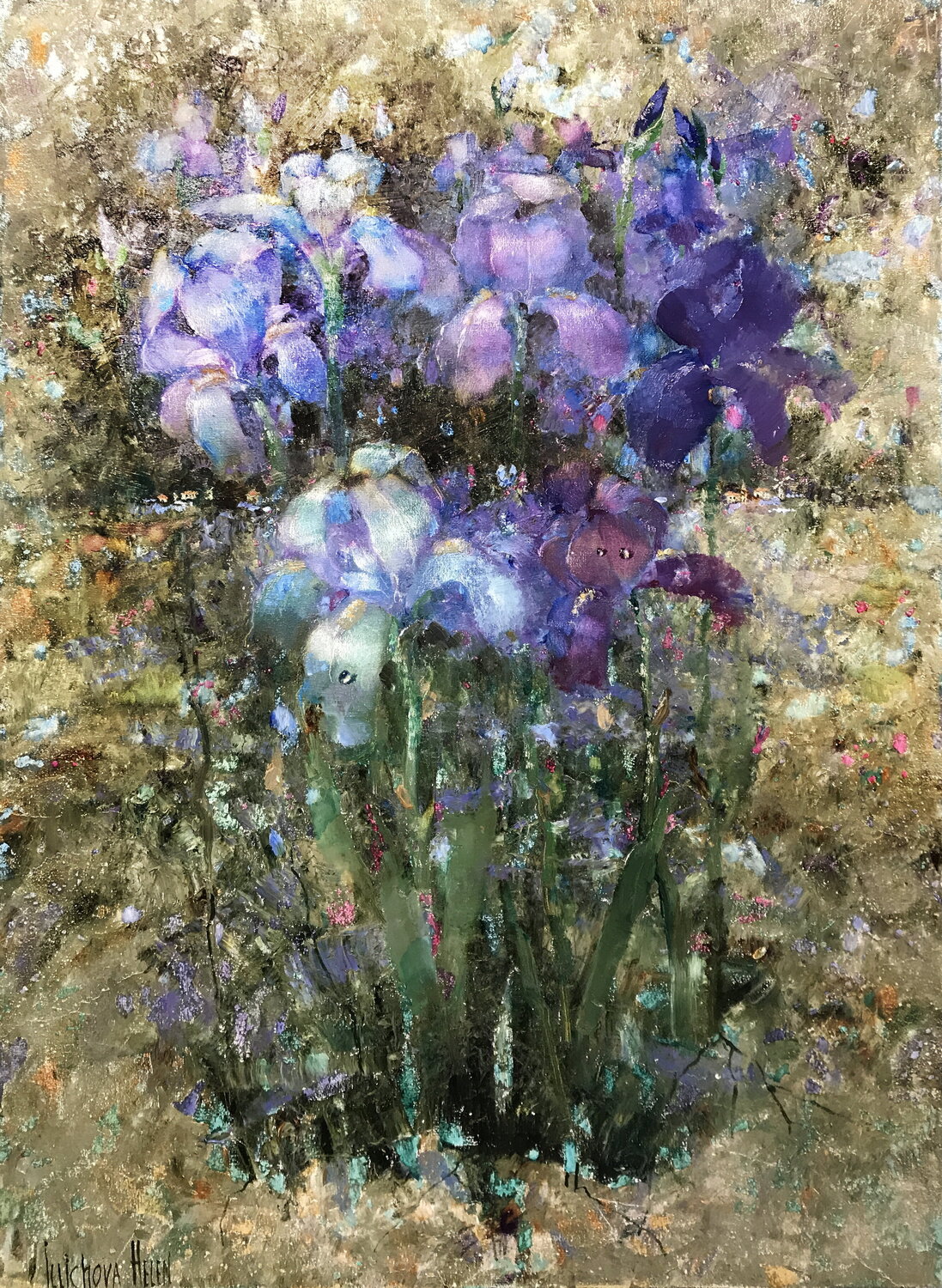 The Magnificent Iris Helen Illichova