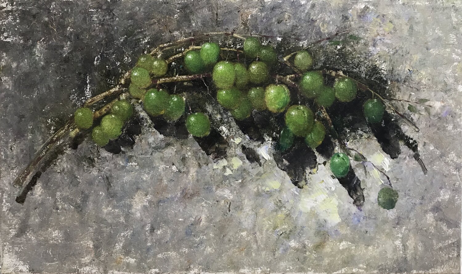 Slow Ripening Helen Illichova