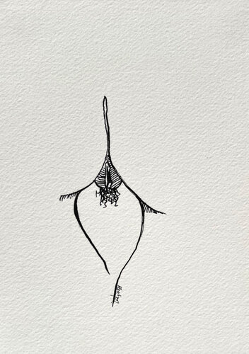 Geisha Girl par Stewart Fletcher, Dessin en vente sur Singulart