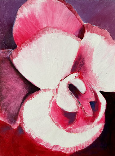 Begonia van Stewart Fletcher, Schilderij te koop op Singulart