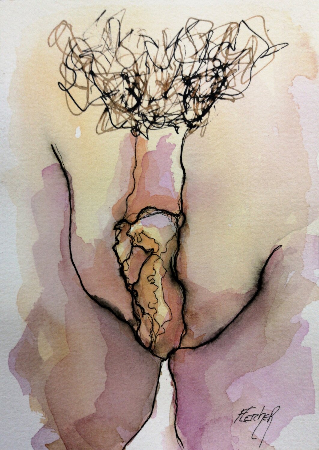 Vulva Stewart Fletcher