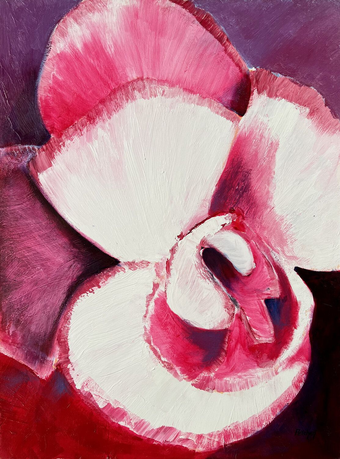 Begonia Stewart Fletcher