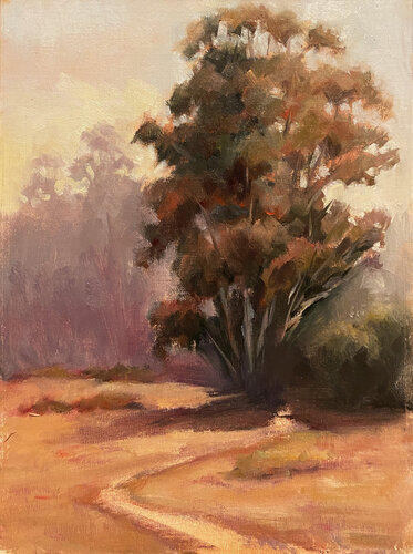 Carmel Valley Tree van Peggy Christiansen, Schilderij te koop op Singulart