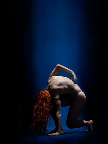 Artemis von Phil Mahabeer, Fotografie kaufen auf Singulart