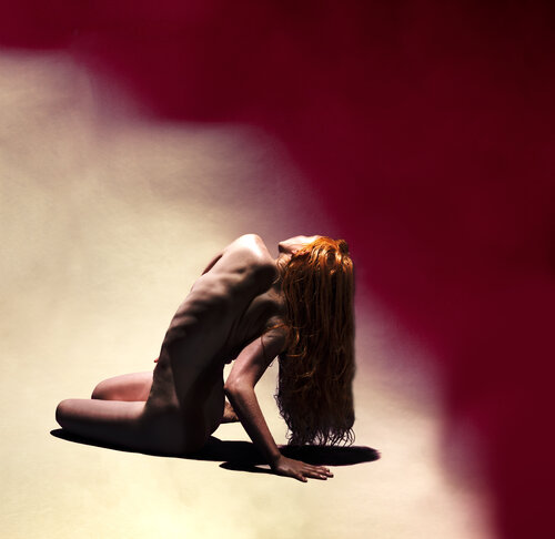 Persephone von Phil Mahabeer, Fotografie kaufen auf Singulart