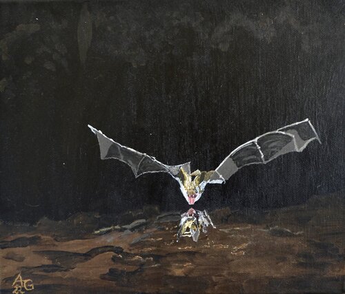 Bat in a cave van Andrea Gruber, Schilderij te koop op Singulart