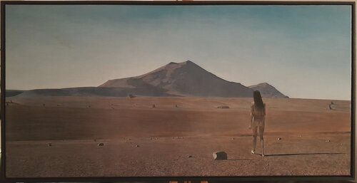 Human intrusion van François Chevalier, Schilderij te koop op Singulart