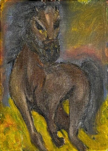 Wild Contrasts – Horse van Solaria Ferro, Schilderij te koop op Singulart