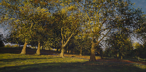 Autumn afternoon, Brockwell Park. Herne Hill. London by Mark McLaughlin, 회화 for Sale on Singulart