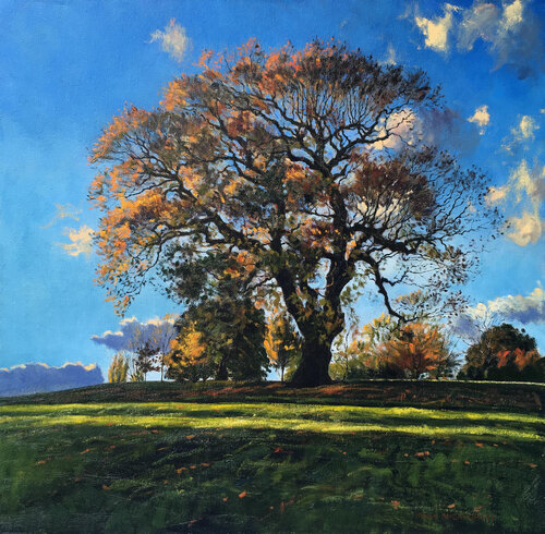 Autumn Oak, late afternoon. by Mark McLaughlin, 회화 for Sale on Singulart