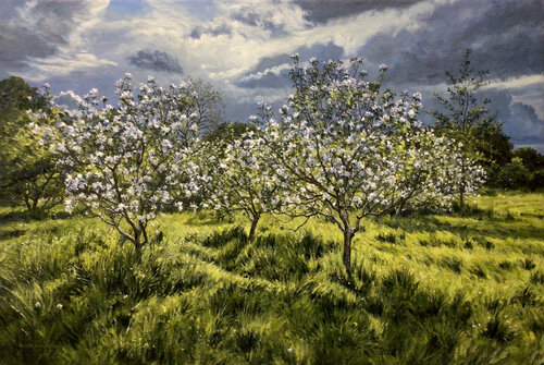 Between the showers. Dulwich Orchard. by Mark McLaughlin, 회화 for Sale on Singulart