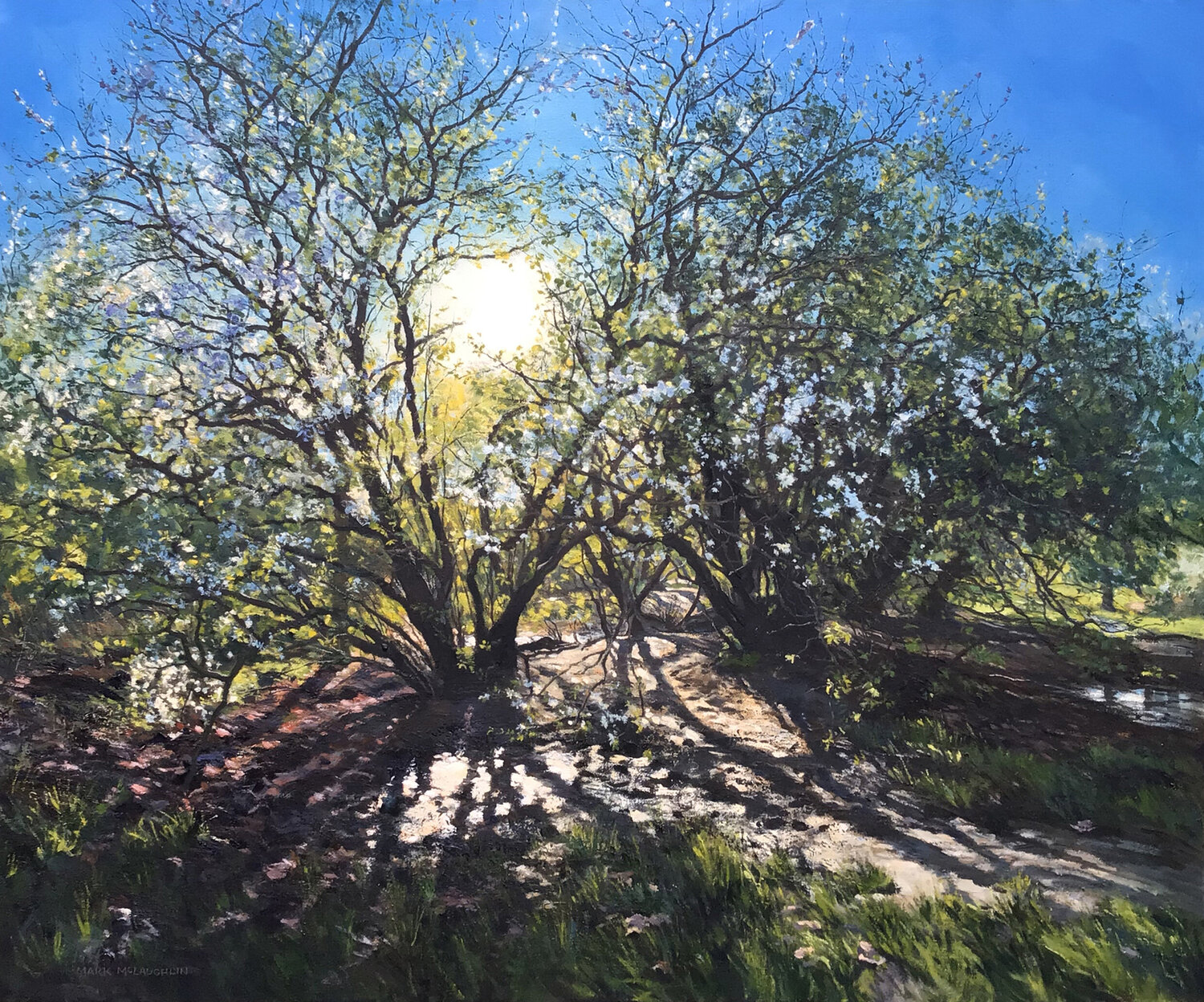Spring Hawthorn Blossom in afternoon light. Clapham Common. London Mark McLaughlin Originalgemälde zu verkaufen