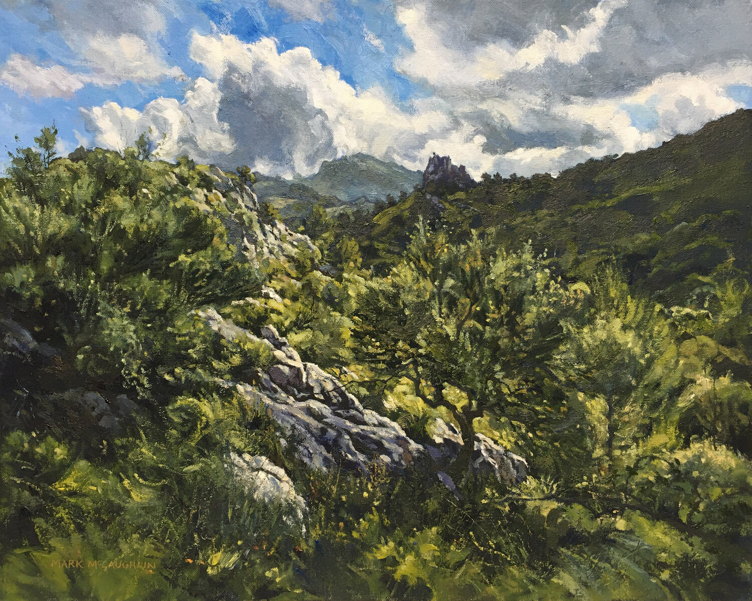 Mallorcan landscape Mark McLaughlin