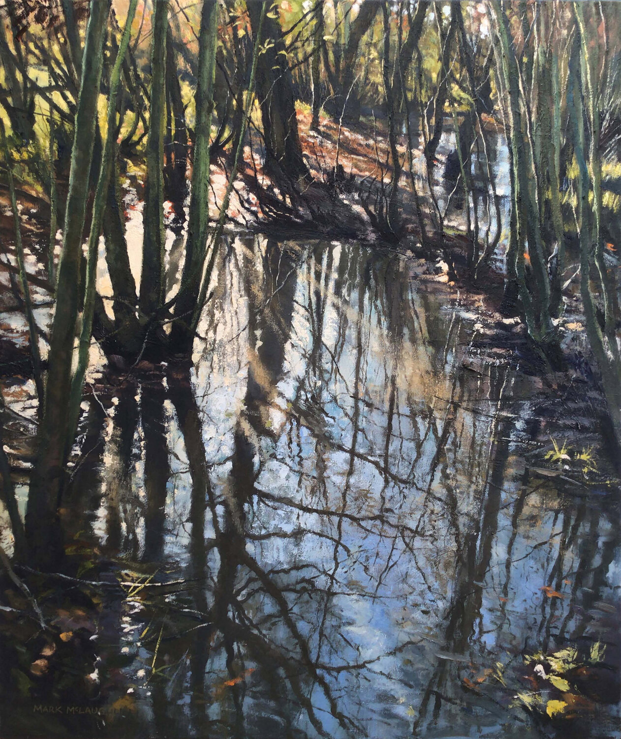 Winter reflections. Mark McLaughlin