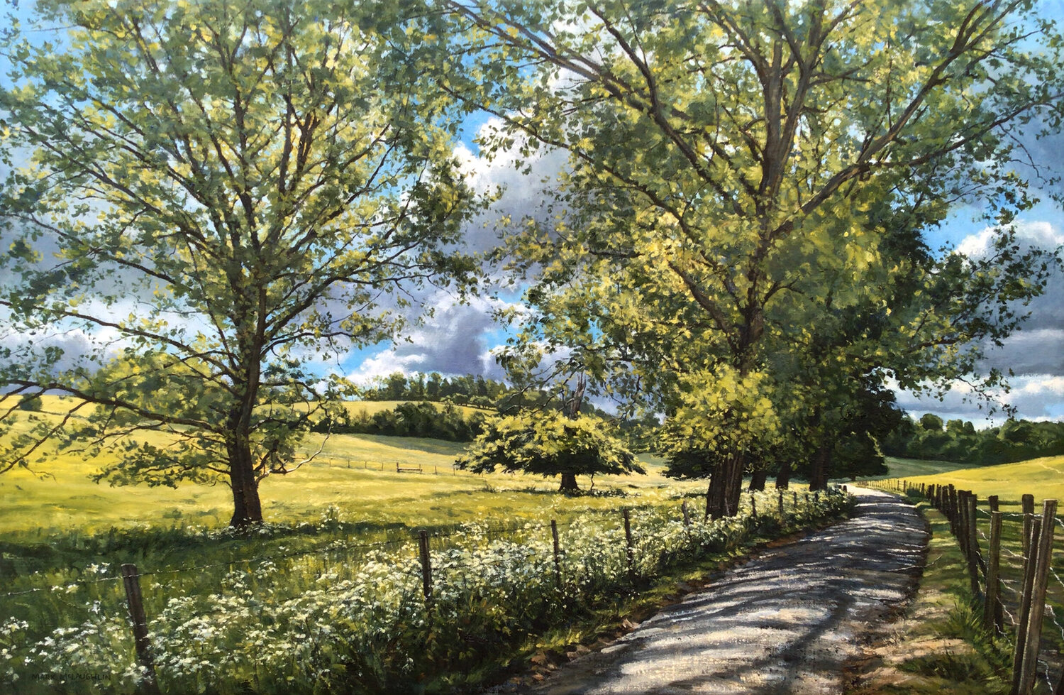 Spring morning light, Woldingham Valley. Mark McLaughlin