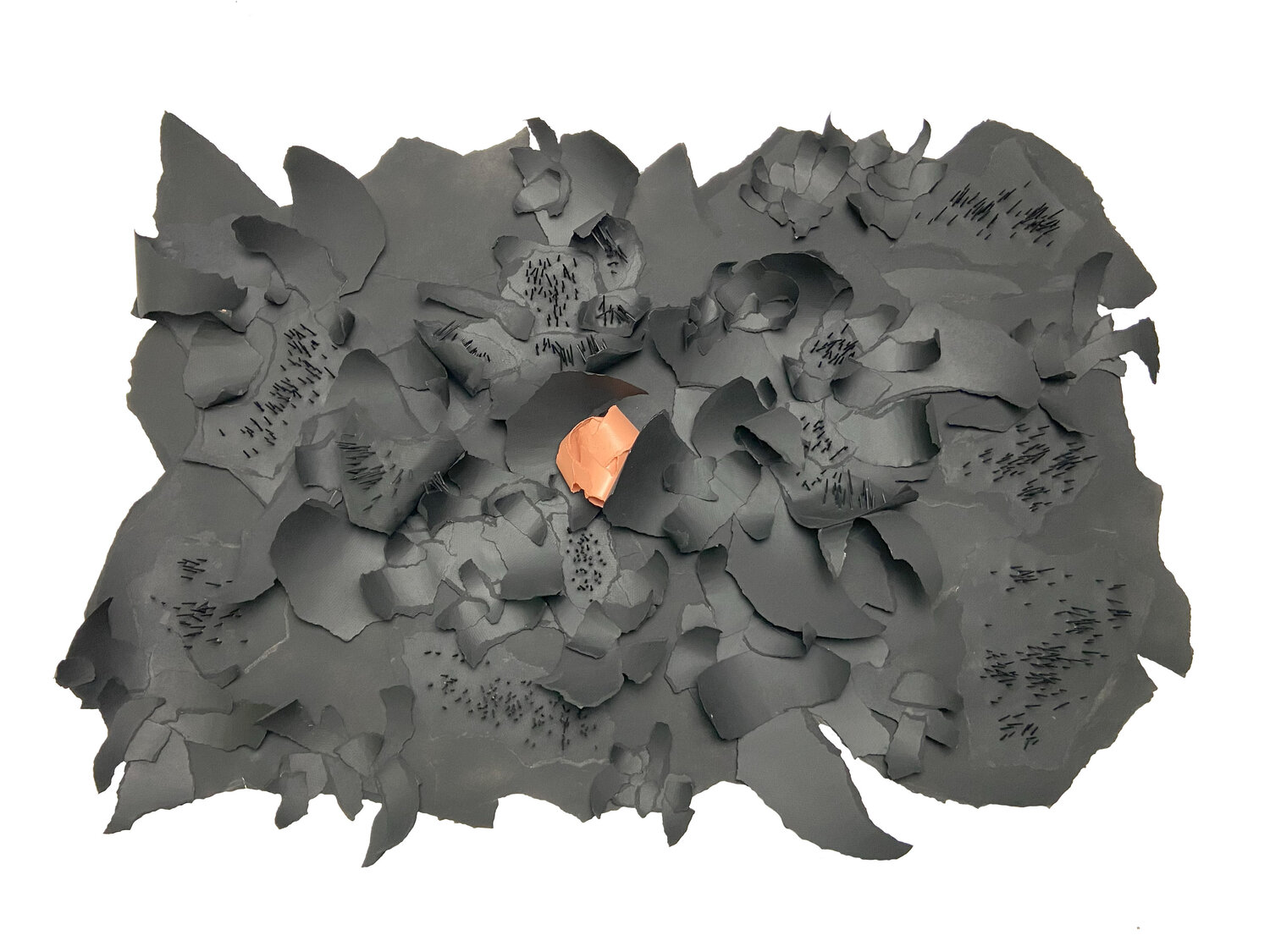 Black Disease from a Tangerine Jameel Haiat